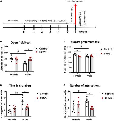 Sex-Specific Microglial Activation and SARS-CoV-2 Receptor Expression Induced by Chronic Unpredictable Stress